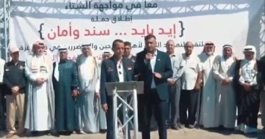 اللجنة المصرية فى غزة 
