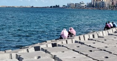 طقس مائل للبرودة مع نشاط للرياح على الإسكندرية.. مباشر