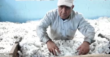تعرف على أقدم محلج للقطن بدأ تشغيله عام 1913 × 19 معلومة