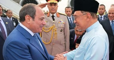 الرئيس السيسى 
