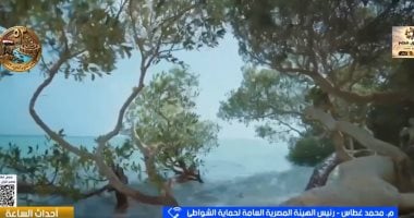 هيئة حماية الشواطئ: تنفيذ 70 كيلومترا من الحواجز الصديقة للبيئة بالبحر المتوسط