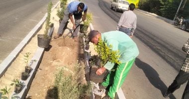 محافظ الأقصر يوجه بتكثيف حملات النظافة والتجميل قبل الموسم السياحي الشتوي