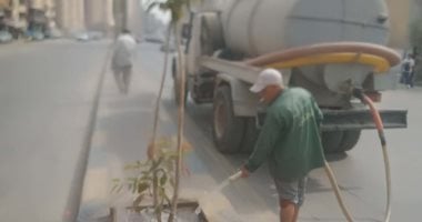 تشجير شارعى ترسا ويحيى شاهين بحى الطالبية ضمن مبادرة اتحضر للأخضر