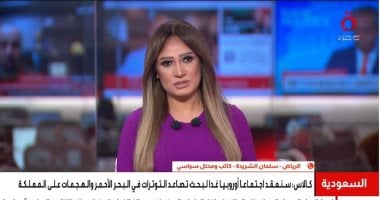 محلل سعودى: الردع الحاسم ضرورة لحماية المملكة والحوثيون يشكلون خطرًا على أمن المنطقة