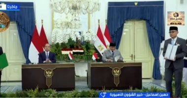 خبير شئون آسيوية: جولة الرئيس السيسي تعزز شراكات مصر الاقتصادية