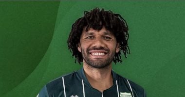 محمد النني