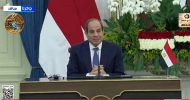 الرئيس عبد الفتاح السيسى
