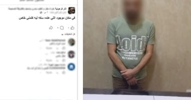 الداخلية تضبط إدارة صفحة وهمية لبيع الآثار عبر الإنترنت في المحلة