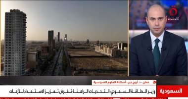أستاذة علوم سياسية: التصعيد بين الحوثيين والسعودية يهدد التسوية السياسية