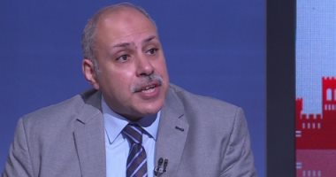 حسن سلامة: الجولة الآسيوية للرئيس السيسى تعكس مكانة مصر الدولية
