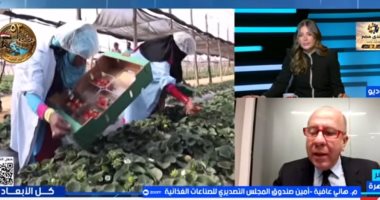 هاني عافية: صادرات الصناعات الغذائية المصرية تنمو 11% خلال 8 أشهر