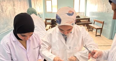 جامعة الإسكندرية تقدم خدمات طبية مجانية لـ920 مواطنا بقرية عبد القادر بالعامرية