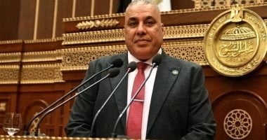 النائب محمد أبو النصر: منتدى مصر 2026 منصة وطنية مهمة للحوار حول مستقبل الدولة