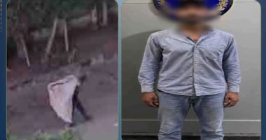 ضبط جامع قمامة لاتهامه بارتكاب فعل خادش للحياء تجاه ربة منزل بالإسكندرية