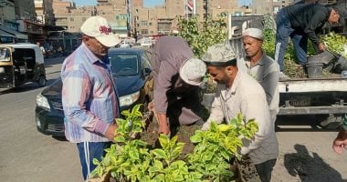 زراعة أحواض الزهور بشارع العامل الأول فى إمبابة ضمن مبادرة اتحضر للأخضر.. صور