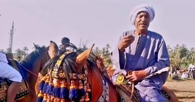 منذ 53 عاما.. العمدة فراج عميد خيالة قنا يحكي تجربته مع سباقات الخيل وتربيتها