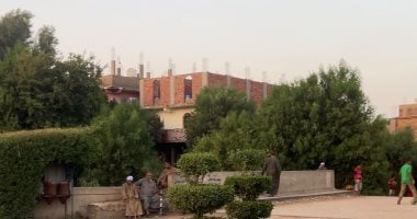 بجهود الأهالى.. مدخل "القليلة" بقنا يتحول للوحة خضراء تزينها الأشجار والورود