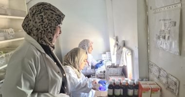 الكشف على 2131 شخص مجانا خلال قافلة طبية بقرى البحيرة
