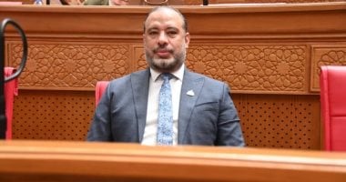 برلمانى : دعم الدولة مسؤولية وطنية.. والوعي خط الدفاع الأول أمام حملات التشكيك