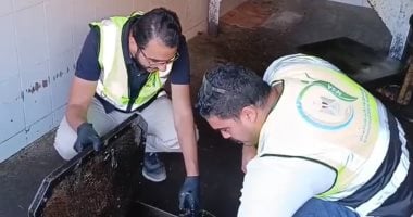 محافظ الغربية: ضبط 16.5 طن زيت وملح غير صالح للاستهلاك الآدمي