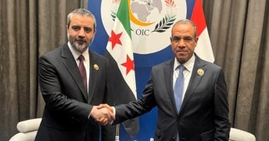وزير الخارجية يلتقي نظيره السوري 
