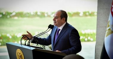 نائب: تفويض الرئيس السيسى لدعم أمن السعودية يعكس التزام مصر بوحدة المصير العربى