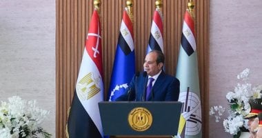 السيد الرئيس عبد الفتاح السيسى
