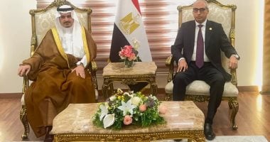 رئيس مجلس الدولة يستقبل رئيس ديوان المظالم السعودي