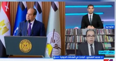 باحث علاقات دولية: تصريحات الرئيس السيسي تعزز الردع الإقليمى