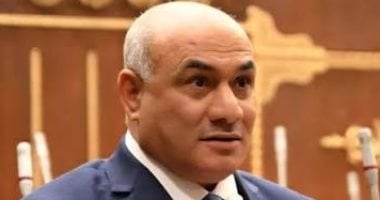 نائب بالشيوخ: مواجهة الشائعات تبدأ ببناء وعى المواطن وتكامل دور المؤسسات