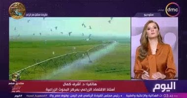أستاذ اقتصاد زراعي: مشروعات مستقبل مصر والدلتا الجديدة وتوشكى تعزز الأمن الغذائي