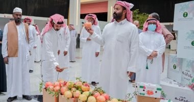 "بيئة الباحة" تختتم مهرجان الرمان الـ 15 بمبيعات تجاوزت 60 طنا فى السعودية