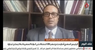 خبير: المكاشفة والشفافية ركيزتان لتعزيز استقرار الدولة المصرية
