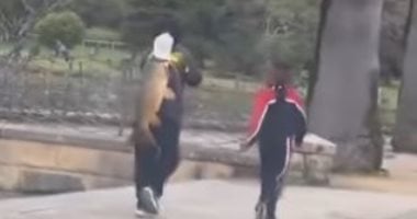 سمكة عملاقة تشعل الجدل فى سيدنى.. اعرف القصة