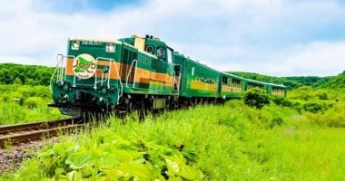 Japanese Photographer Cuts Down Tree for Better View of Train