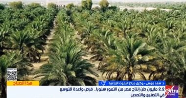 البحوث الزراعية: إنتاج التمور وصل لـ 2.2 مليون طن 2026