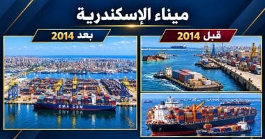 ميناء الإسكندرية "قبل وبعد 2014".. تحول عملاق نحو مركز لوجستى عالمى