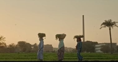خير ربنا كتير.. فيلم يرصد تحديات الأمن الغذائى وكيف نجحت مصر فى التغلب عليها؟