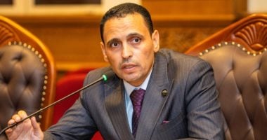 برلمانى: مصر تتصدى لمحاولات إشعال المنطقة وترفض المساس بسيادة الدول
