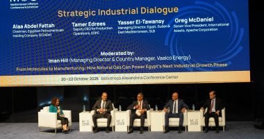 هيئة البترول: جهود زيادة الإنتاج المدعومة بحزم الحوافز أثمرت عن تحقيق نتائج إيجابية