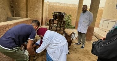 فحص أكثر من 3500 أبقار وأغنام وجاموس بقافلة بيطرية مجانية بقرية كفر الصهبي