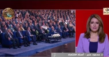 Power Grid Development Boosts Investment and Egypt’s Regional Standing, Economist Says