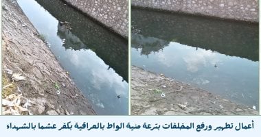 Monufia Removes More Than 100 Tons of Canal and Drain Clearance Waste