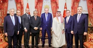 وزير الخارجية مع الرئيس التركي