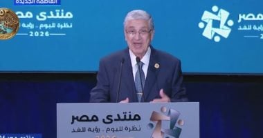 Former electricity minister says grid upgrades made Egypt a regional energy hub