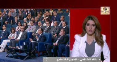 Harnessing Governorates’ Potential Can Advance Egypt Vision 2030, Economist Says