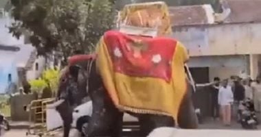 Elephant Sparks Panic During Religious Procession in Southern India