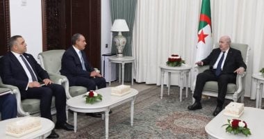 وزير الخارجية يبحث مع الرئيس الجزائري الجهود المبذولة لاحتواء التوتر الإقليمى