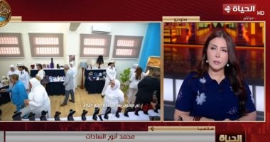 Egypt Rights Council Deputy Hails Medical and Rehabilitation Advances at Modern Correctional Centres