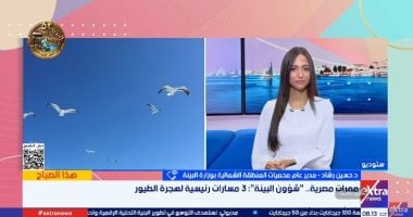 Egypt a Key Route for Millions of Migratory Birds, Environment Official Says